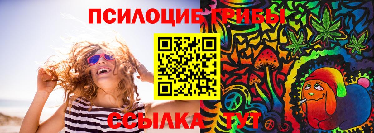 Псилоцибиновые грибы MAGIC MUSHROOMS  Галлюциногенные грибы мухоморы  Вход с VPN  продажа наркотиков  Вологда 